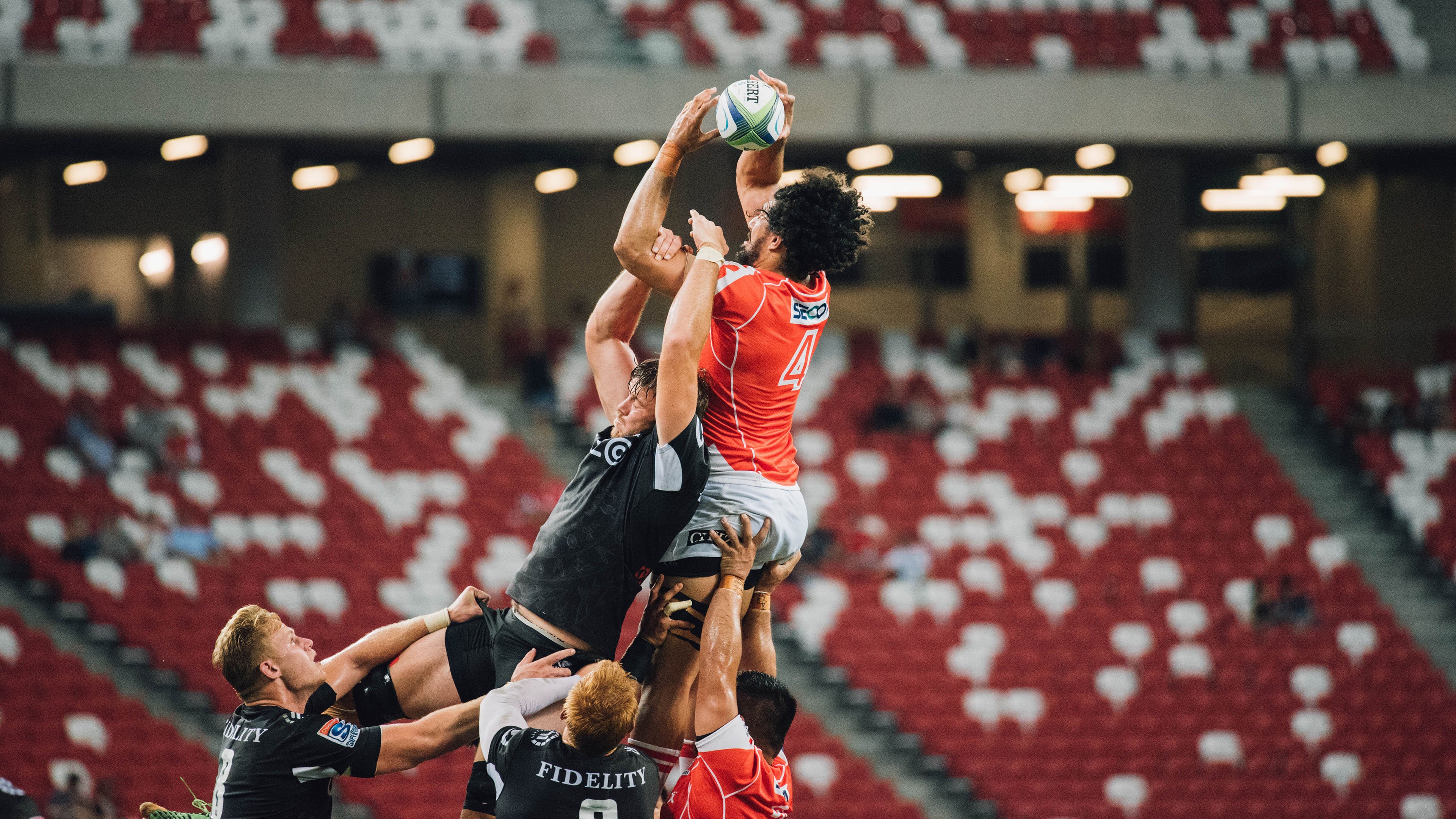 攀岩体验日，绿色运动新宠，攀岩运动训练