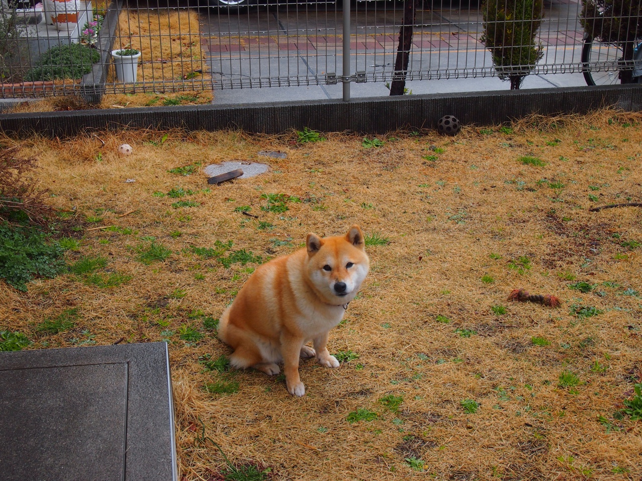 爱游戏娱乐网址-以足球文化促成长，打造具有特色的体育旅游产业，足球文化传承